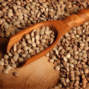 Brown Lentils